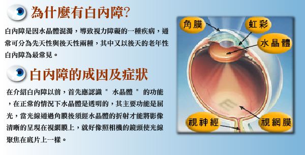 多方面認識白內(nèi)障，莫讓致盲把心傷
